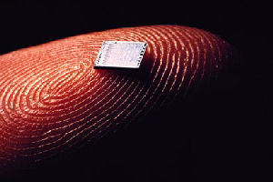 Image of microchip on fingertip
