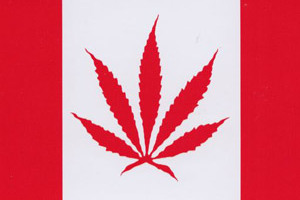 Image of Canadian flag with cannabis leaf