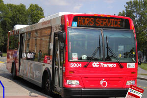 Image of OC Transpo bus