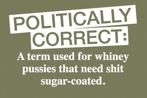Image of sign which reads 'Politcal Correctness: A term used for whiney pussies that need shit sugar-coated'